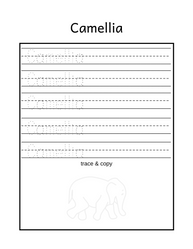 Free name tracing worksheet