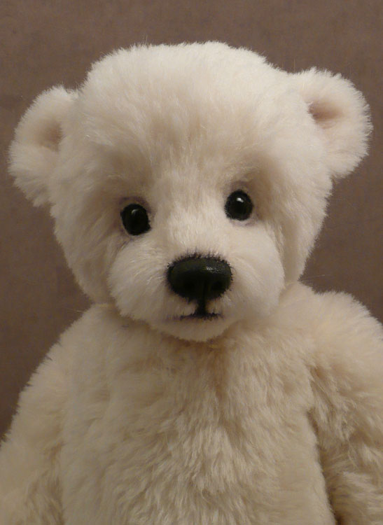 Luna a Polar Bear
