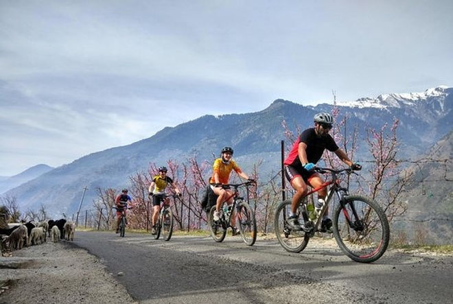 cycling-tour-dharamshala_edited.jpg
