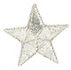 silver metalic star.jpg