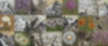 DSCN6319.jpeg