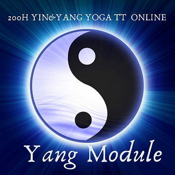 Yang Module.png