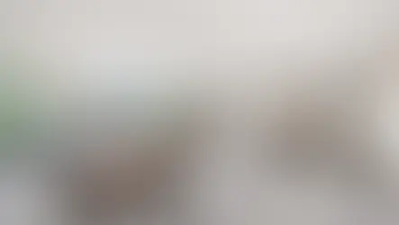 Cards & Mahjong Room