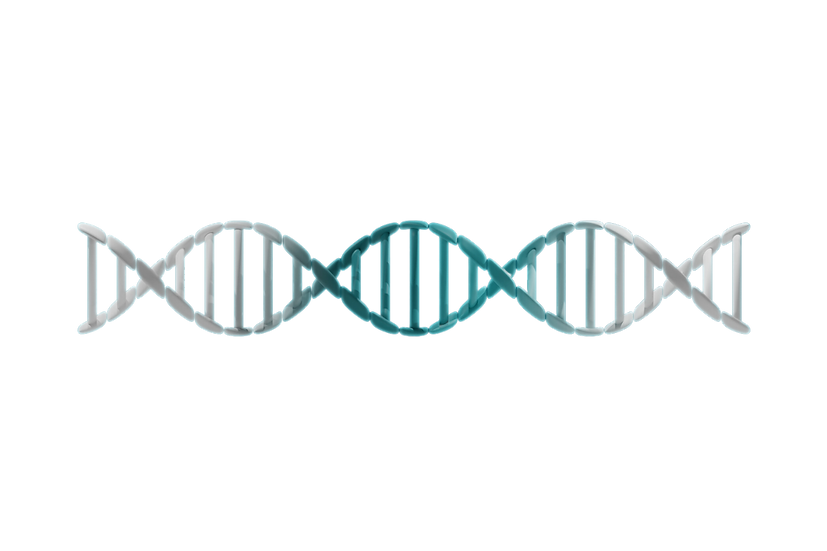 BioColonize dna strand