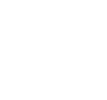 logo_white-482e06d90c755545a65ebd710ccb1294 (1).png
