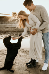Hundefotos mit schwarzem Labrador Hund an der Ostsee Hamburg