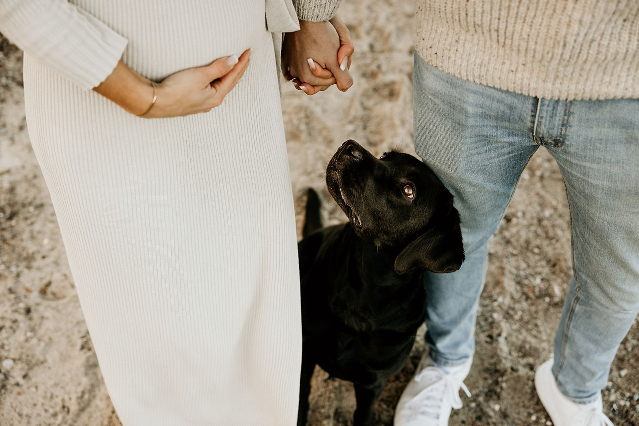 Hundefotos mit schwarzem Labrador Hund an der Ostsee Hamburg
