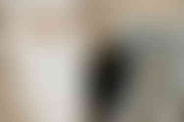 Hundefotos mit schwarzem Labrador Hund an der Ostsee Hamburg