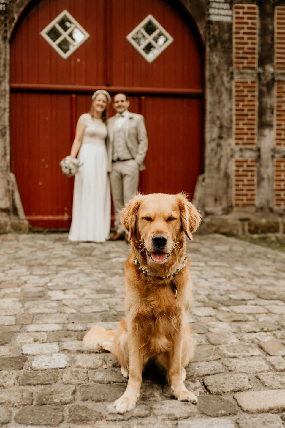 Hochzeit mit Hund Bielefeld