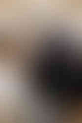 Trauung Orangerie Schloss Rheda