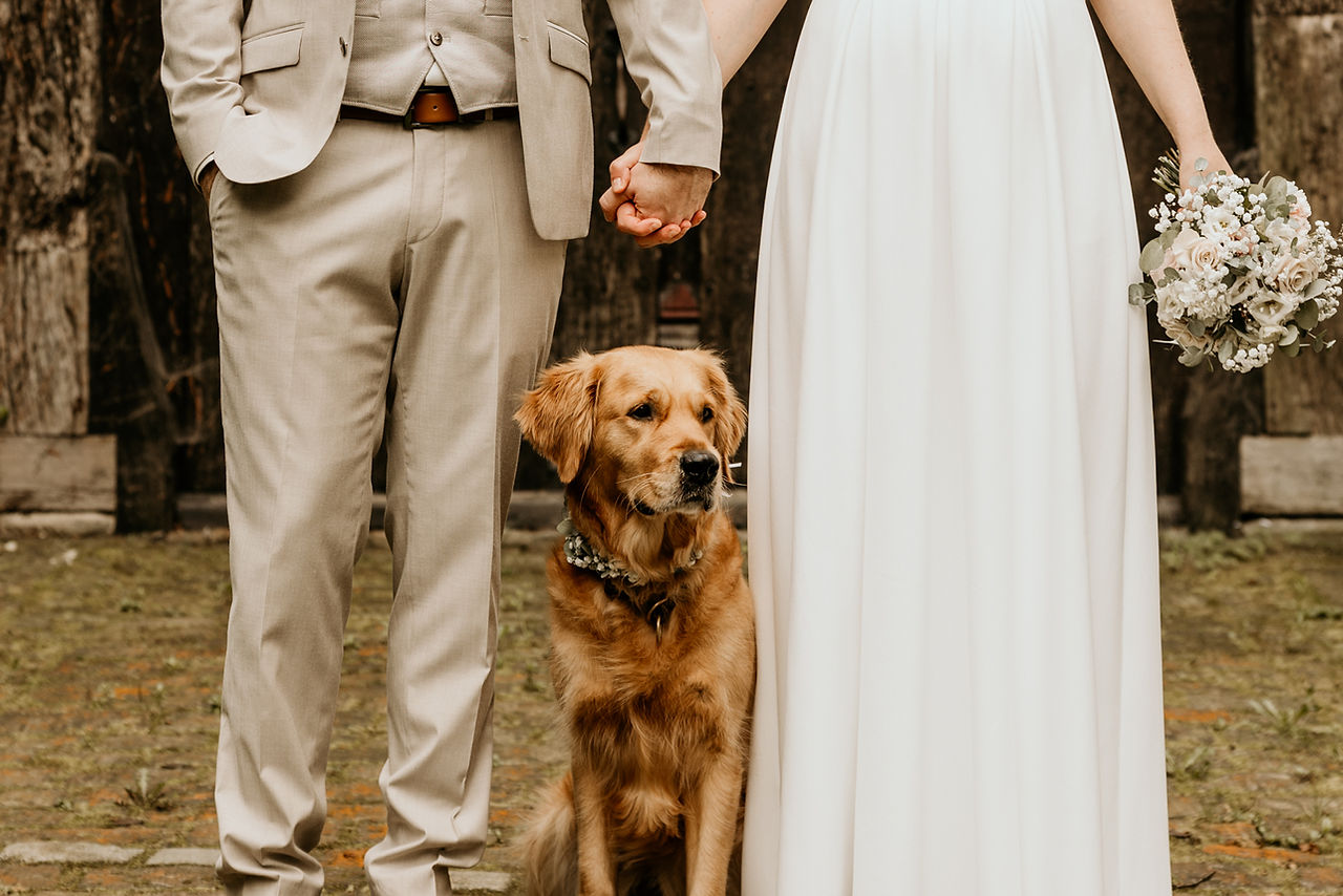 Hochzeit mit Hund