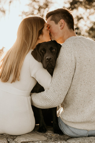 Hundefotos mit schwarzem Labrador Hund an der Ostsee Hamburg