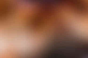 Freie Trauung mit Hund