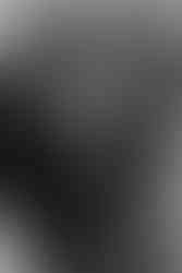 standesamtliche Trauung Rheda-Wiedenbrück