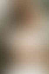 Freie Trauung mit Hund