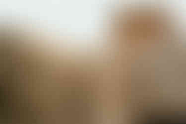 Mallorca Photographer. Mallorca Wedding Photographer. Mallorca Hochzeitsfotograf.