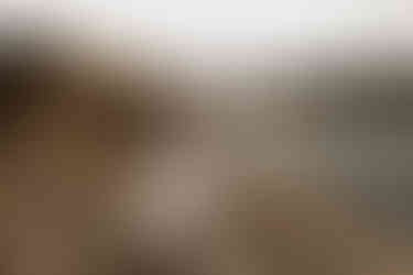 Hochzeitsfotograf Mallorca