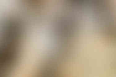 Brautpaarshooting Altstadt Rheda