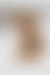 kreative Hundefotos im Schnee in Oerlinghausen