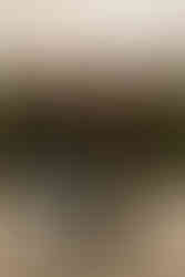 Paarfotos im Sonnenuntergang in der Sandgrube Oerlinghausen