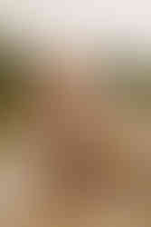 Babyshooting Familienshooting am See in Paderborn