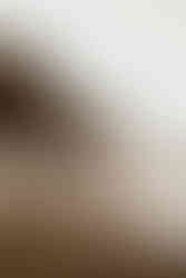 Paarfotos mit Beagle am schwarzen Strand von Teneriffa