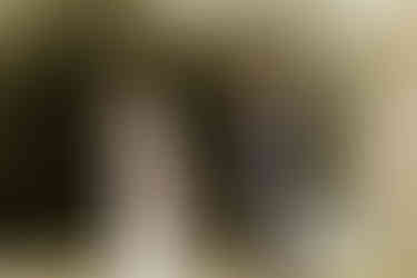 standesamtliche Trauung Rheda-Wiedenbrück