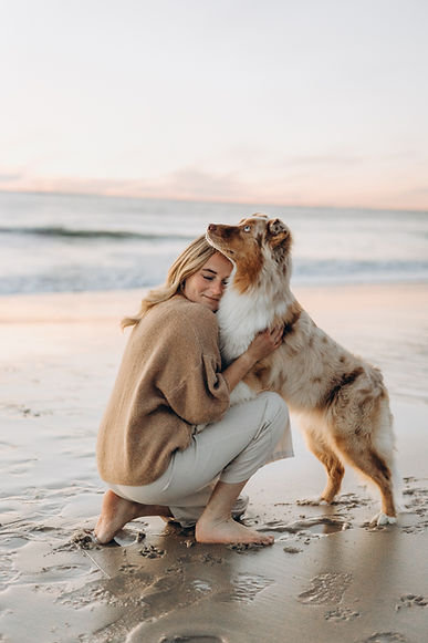 Hundefotografie Sylt
