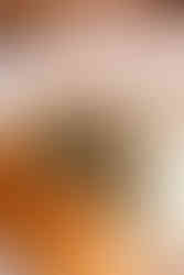 Freie Trauung mit Hund