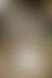 Freie Trauung mit Hund