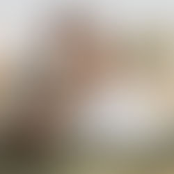 Spritzige Sommerhochzeit im Ziegelei Museum in Lage mit anschließender Gartenparty - Hochzeit mit Hund