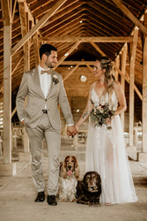 Hochzeit mit Hund