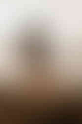 Paarfotos mit Beagle am schwarzen Strand von Teneriffa