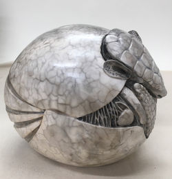 Armadillo