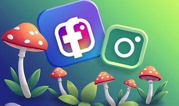Facebook app logo and Instagram logo and