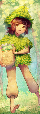 25_Forest.jpg