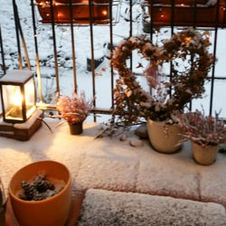 Fotos von unserem Garten 2018