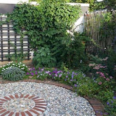 Fotos von unserem Garten 2018