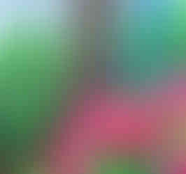 Details des Gemäldes aus der Garden Scenes Serie: "Ladder to the Hidden Treehouse"