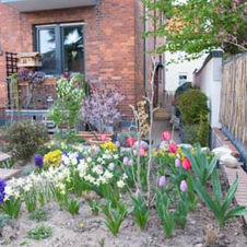 Fotos von unserem Garten 2021