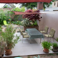 Fotos von unserem Garten 2022