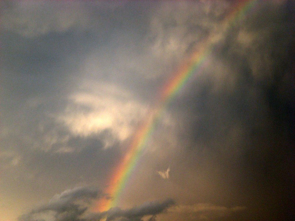 This photo was proof that God was watching over me on the day I got the cancer diagnosis.