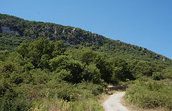 VIN06421_edited.jpg