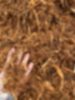 CYPRESS MULCH $46 A YARD