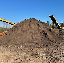 SANDY ORGANIC BULK.jpg