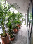 20200519_175330.jpg