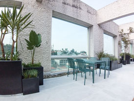 Plantas de oficina, terraza
Diseño de interiores
Diseño de oficinas
espacio de trabajo
vegetación
lanscaping and plantscaping