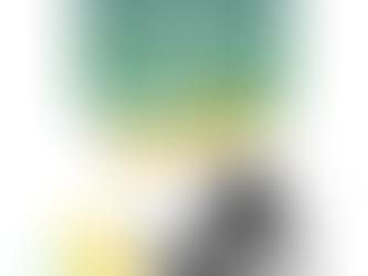 ISKCON Dublin Newsletter 7th Edition