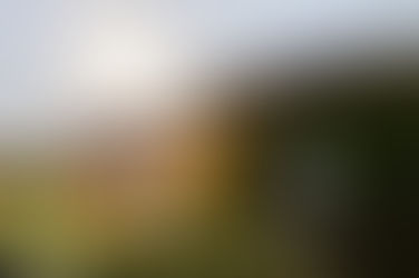 A Night at The Salopian Inn – Local Flavours Just Minutes from McLaren Vale Cabin Caravan Park