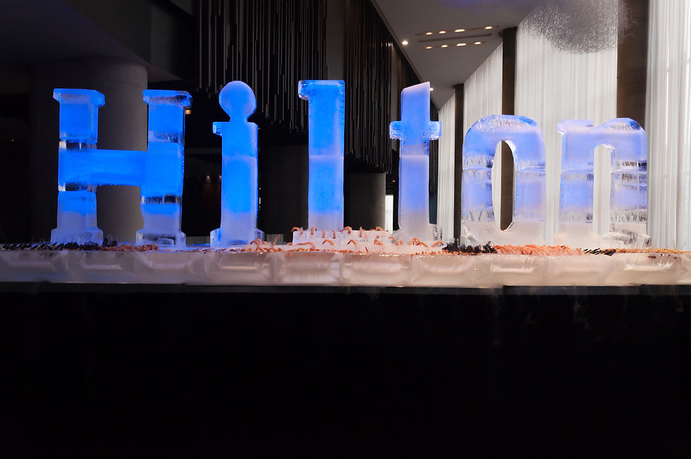 Lanzamiento Hotel Hilton Corferias
